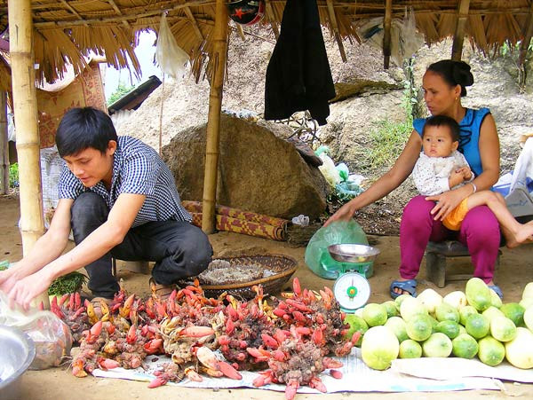 Một điểm bán hàng đặc sản của đồng bào tại xã Châu Thôn (huyện Quế Phong, Nghệ An).
