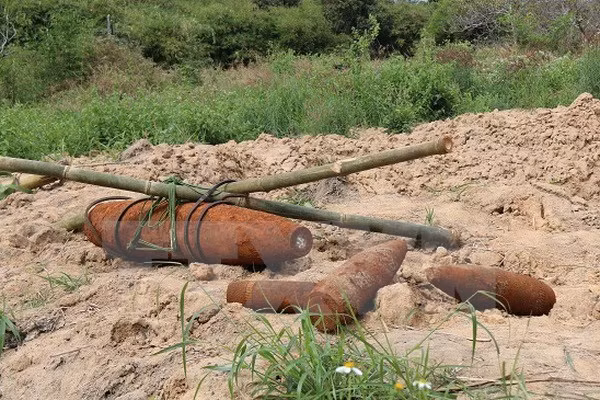 Ảnh chỉ có tính minh họa.