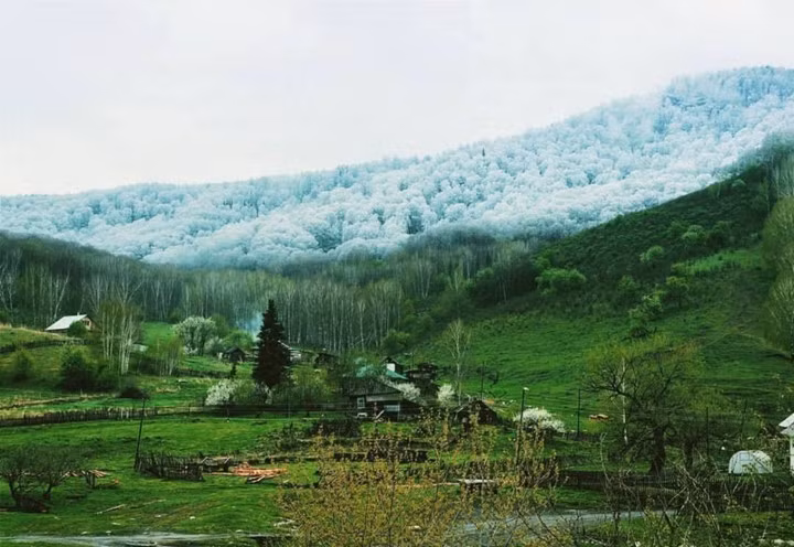 Tuyết rơi ở Altai, Siberia.