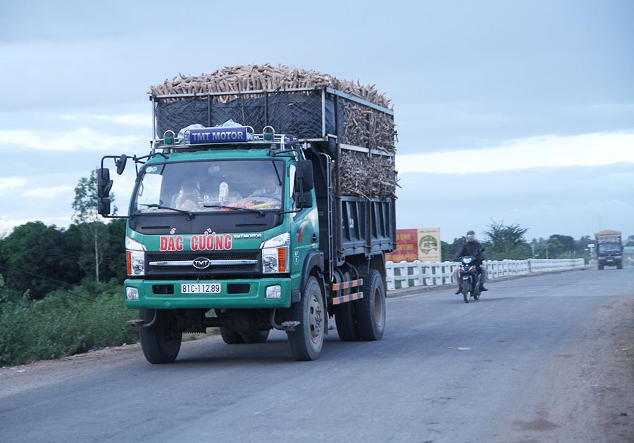  Xe chở mì chất cao gấp 3 lần so với thiết kế thùng xe. Ảnh: Văn Ngọc