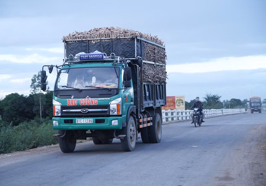  Xe chở mì chất cao gấp 3 lần so với thiết kế thùng xe. Ảnh: Văn Ngọc