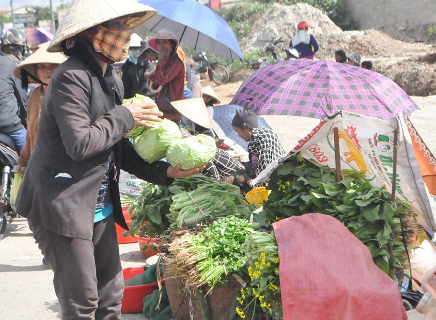 Khách hàng chọn mua những trái bắp sú từ vườn tươi ngon. Ảnh: Trần Dung Khách hàng chọn mua những trái bắp sú từ vườn tươi ngon. Ảnh: Trần Dung
