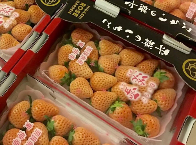 Loại dâu tây Bạch tyết được giới thiệu xuất xứ từ Nhật Bản có giá bán lên tới 1,6 triệu đồng/kg (Ảnh: Internet) 12