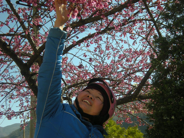 Một người qua đường thích thú dừng lại ngắm hoa.