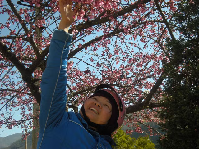 Một người qua đường thích thú dừng lại ngắm hoa.