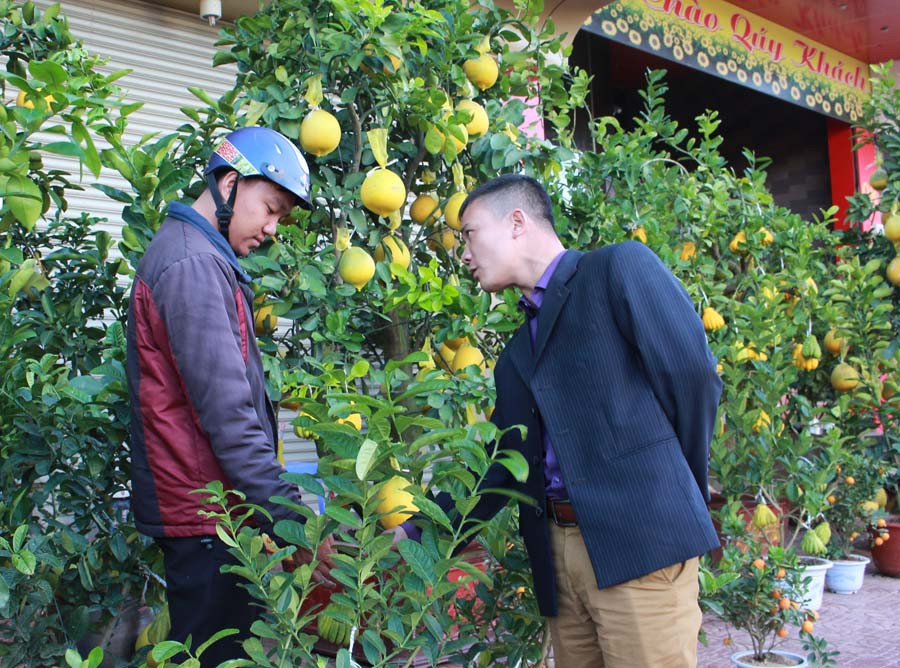 Người dân Phố núi không chần chừ ghé thăm và mua các chậu kiểng lạ mắt. Ảnh: Hồng Thi