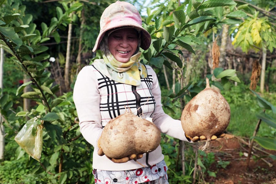  Bà Liễu phấn khởi 