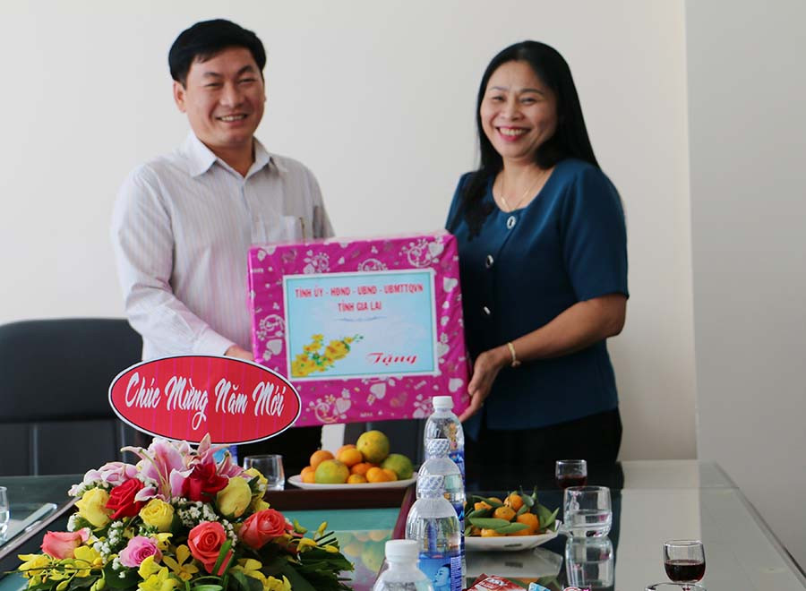 Thay mặt Tỉnh ủy, HĐND, UBND, Ủy ban MTTQ tỉnh, bà Huỳnh Nữ Thu Hà tặng quà cho Báo Gia Lai. Ảnh: Q.T