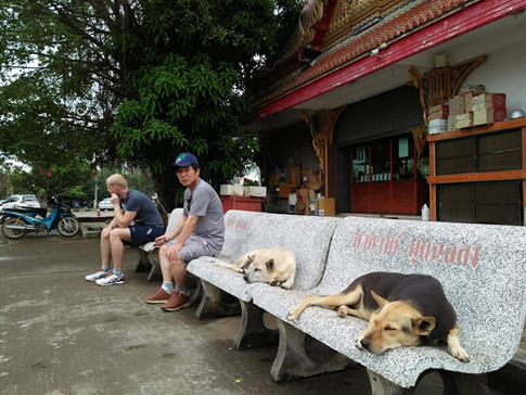 Cảnh yên bình bên trong khuôn viên Wat Chalong Cảnh yên bình bên trong khuôn viên Wat Chalong