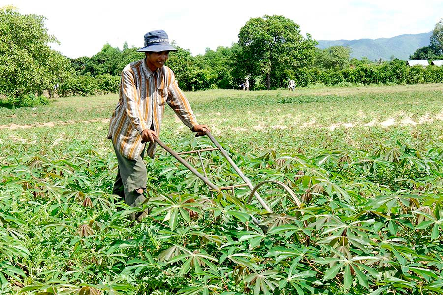  Ông Lê Văn Thoát-Chủ tịch Hội Nông dân thị trấn Phú Túc: Trên địa bàn thị trấn hiện đã có 80% hộ sử dụng máy bừa này. Mỗi vụ mì nếu chỉ làm cỏ 2 đợt thì 1 ha sẽ giảm ít nhất 4 triệu đồng. Toàn thị trấn hiện có 1.000 ha mì, khi sử dụng bừa này làm cỏ, nông dân sẽ tiết kiệm được 4 tỷ đồng/vụ…