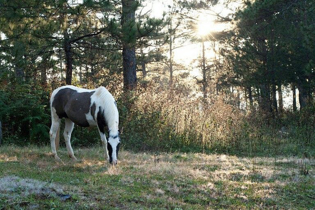 Ảnh: @luongnguyen.2007 Ảnh: @luongnguyen.2007