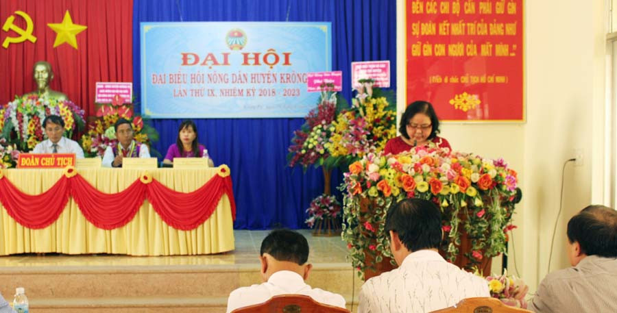 Quang cảnh Đại hội đại biểu Hội Nông dân huyện Krông Pa lần thứ IX (nhiệm kỳ 2018-2023). Ảnh: H.C Quang cảnh Đại hội đại biểu Hội Nông dân huyện Krông Pa lần thứ IX (nhiệm kỳ 2018-2023). Ảnh: H.C