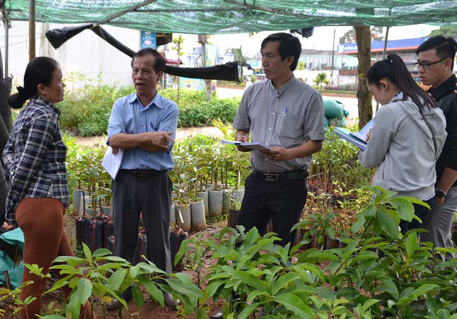  Đoàn liên ngành kiểm tra các vườn ươm giống cây trồng trên địa bàn tỉnh. Ảnh: Lê Nam