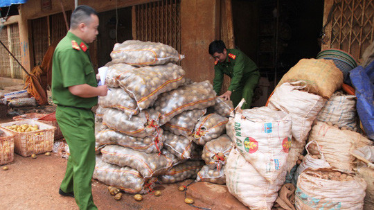 Đoàn kiểm tra liên ngành bắt quả tang hành vi trộn đất biến khoai tây Trung Quốc thành khoai Đà Lạt Đoàn kiểm tra liên ngành bắt quả tang hành vi trộn đất biến khoai tây Trung Quốc thành khoai Đà Lạt