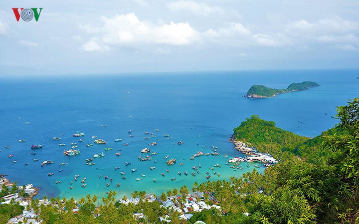 Trần Hiếu/VOV-ĐBSCL