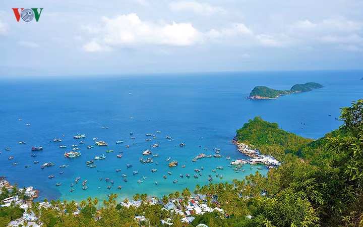 Trần Hiếu/VOV-ĐBSCL