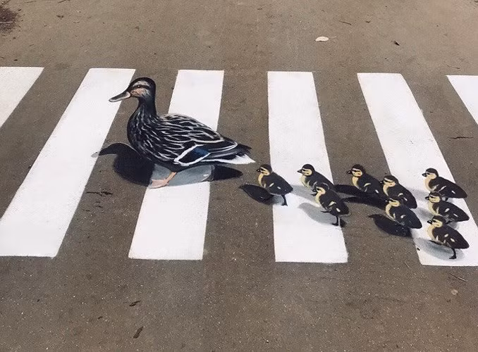 Gia đình vịt này được vẽ với mục đích làm cho tài xế chạy chậm ở phía trước lối dành cho người đi bộ.