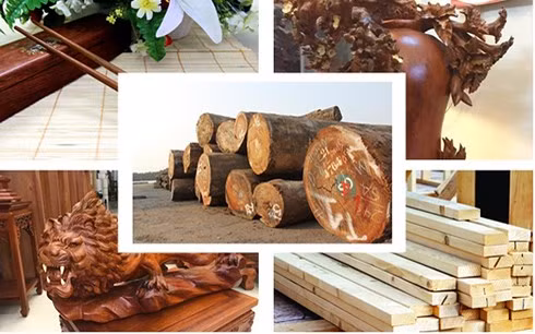  Xuất khẩu gỗ và sản phẩm gỗ của Việt Nam nửa đầu năm sang Malaysia tăng mạnh nhất, gấp 2,1 lần cùng kỳ năm ngoái.