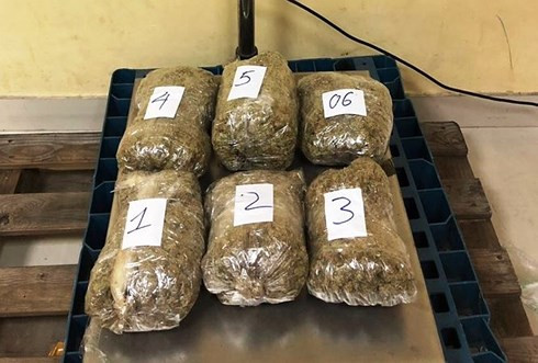  Một lô cần sa bị thu giữ.