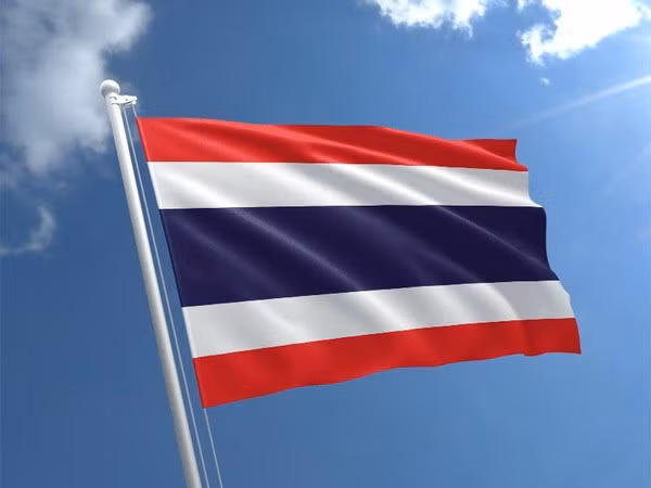  (Nguồn: theflagshop)