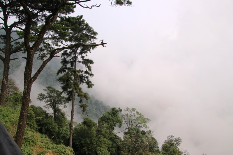  Tam Đảo bây giờ đang là điểm “hot” thu hút nhiều bạn trẻ.