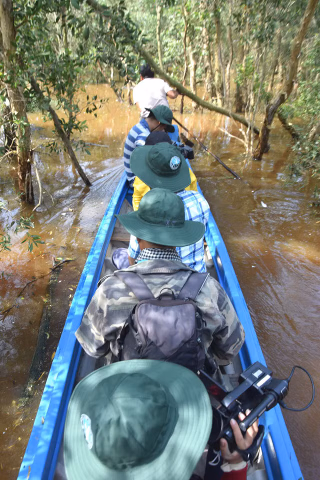 Lối vào bãi chim sinh sản