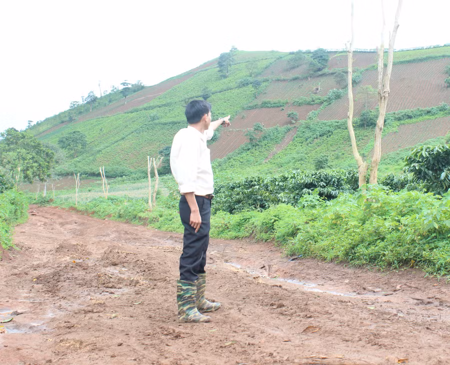  Cây xanh được trồng dọc tuyến đường đang chuẩn bị thi công lên núi lửa Chư Đăng Ya. Ảnh: Nguyễn Diệp