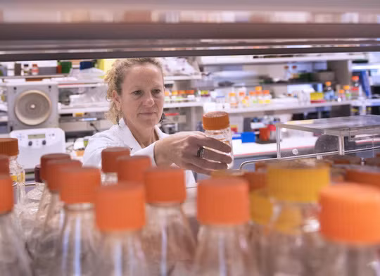  Giáo sư Margherita Cantorn tại phòng thí nghiệm - ảnh do nhóm nghiên cứu cung cấp