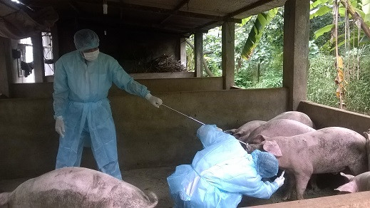 Bộ NN&PTNT yêu cầu các địa phương thành lập các đoàn công tác đi kiểm tra, đôn đốc thực hiện việc phòng, chống dịch bệnh tại các cửa khẩu và các địa bàn có nguy cơ cao. Ảnh IT