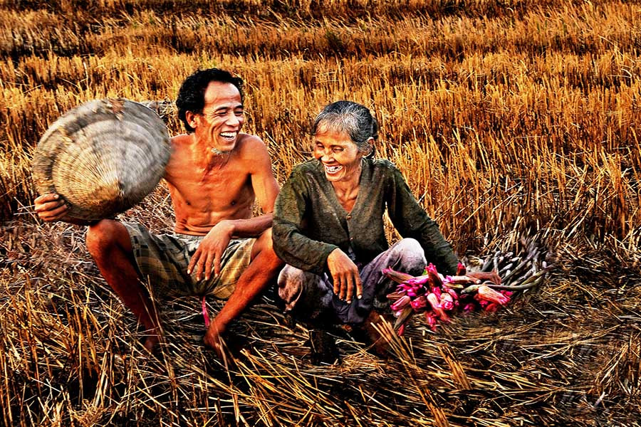 Hạnh phúc đơn sơ