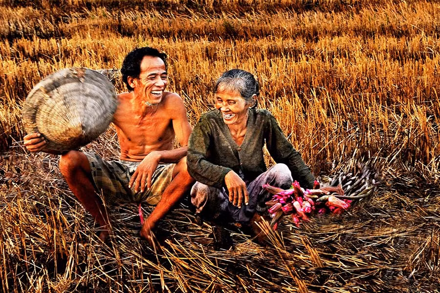 Hạnh phúc đơn sơ