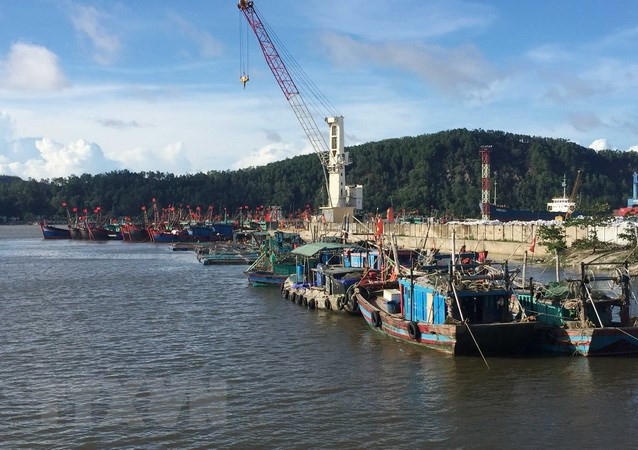 (Ảnh minh họa: Nguyễn Oanh/TTXVN)