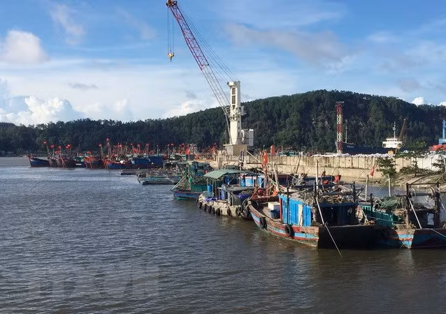 (Ảnh minh họa: Nguyễn Oanh/TTXVN)