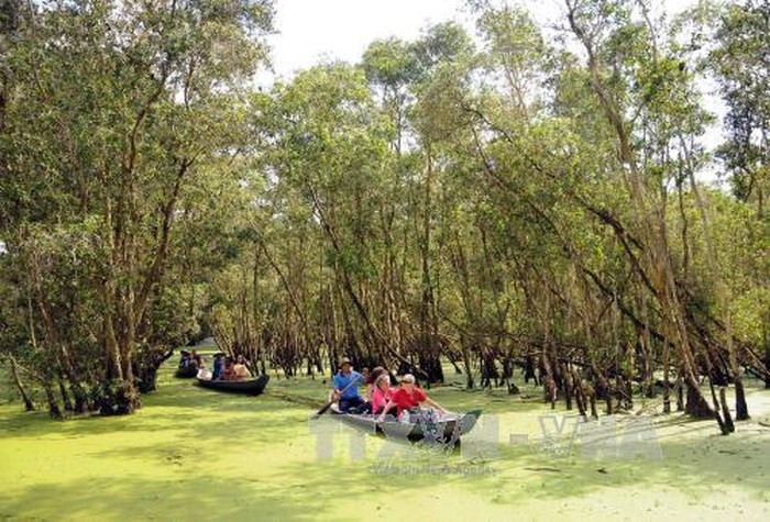 Khách du lịch tham quan rừng tràm Trà Sư, An Giang. Ảnh: An Hiếu/TTXVN Khách du lịch tham quan rừng tràm Trà Sư, An Giang. Ảnh: An Hiếu/TTXVN