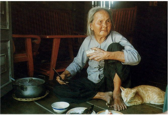 Mẹ Nguyễn Thị Khánh ở Kiên Giang có 7 người con đều nằm lại chiến trường. Bà ngồi một góc chông chênh, bên một niêu cơm, một con mèo, một khúc cá rán và mấy cọng rau