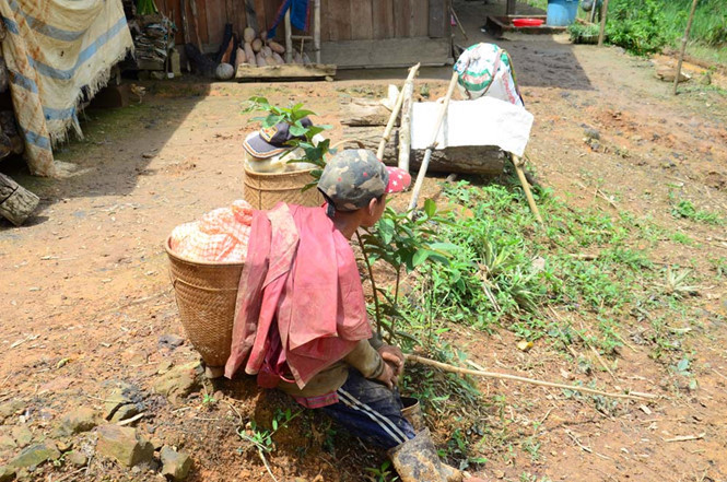 Sau một buổi đi học, các em lên rừng bẻ măng, đi rẫy cùng gia đình