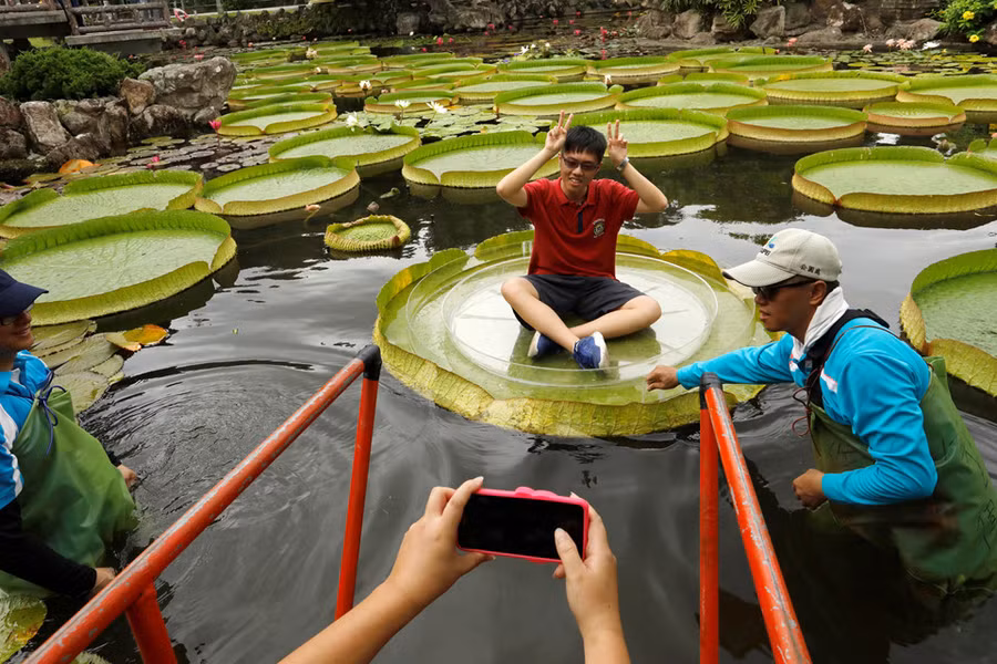 Du khách muốn tham gia phải đăng ký trước trên mạng. Trước khi sự kiện diễn ra, PSLO khuyên người dân nên nhanh chóng đăng ký vì “ghế” sẽ hết rất nhanh. Ảnh: Reuters. 