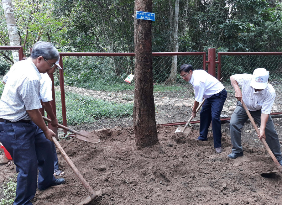 Lãnh đạo huyện Ia Pa trồng cây lưu niệm tại Khu di tích Tỉnh ủy K10. Ảnh: Mai Linh 