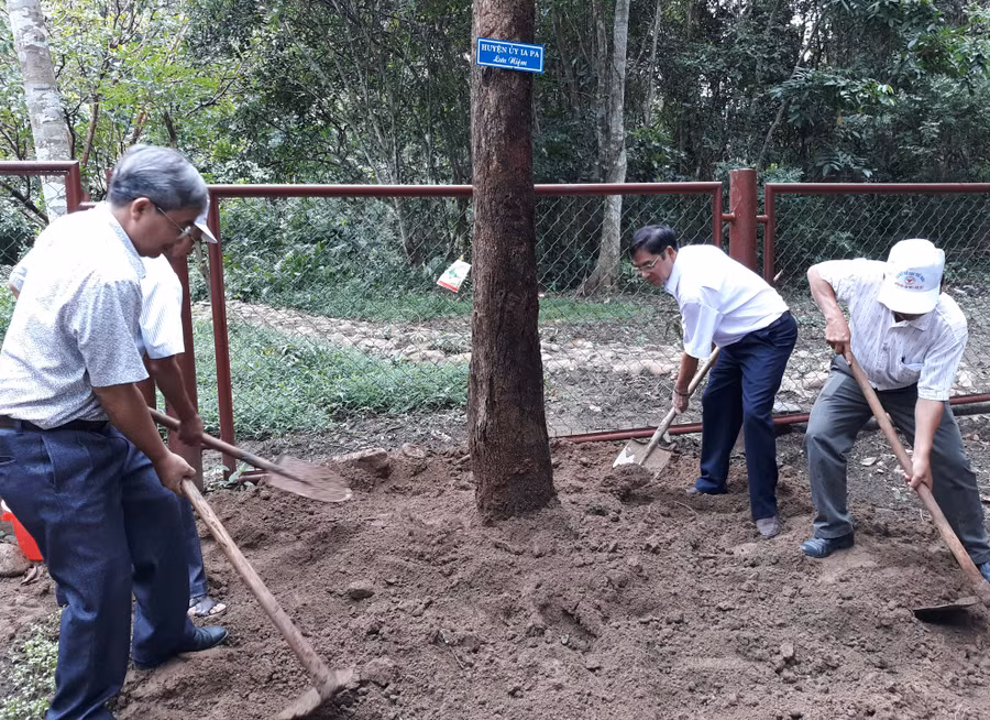 Lãnh đạo huyện Ia Pa trồng cây lưu niệm tại Khu di tích Tỉnh ủy K10. Ảnh: Mai Linh 