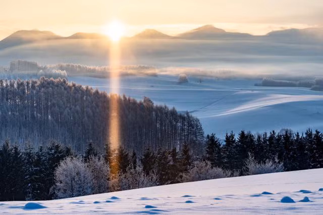 "Nhiệt độ sáng hôm đó khá lạnh. Khi mặt trời ló ra từ đỉnh ngọn núi, những tia nắng chiếu sáng Hokkaido, Nhật Bản." - Morio Okubo.