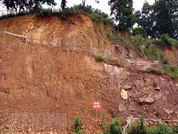  Ảnh chỉ có tính minh họa. (Ảnh: Thu Hằng/TTXVN)