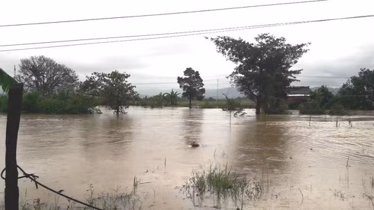 Mực nước sông Đồng Nai dâng cao uy hiếp nhiều hoa màu của người dân
