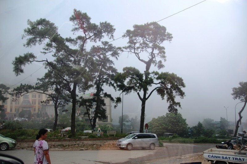 Phố núi Tam Đảo không xô bồ náo nhiệt, mà tĩnh lặng và trầm mặc.