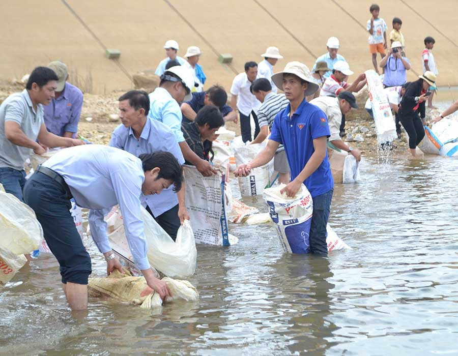  Thả cá giống tại hồ Ka Nak (huyện Kbang). Ảnh: L.N