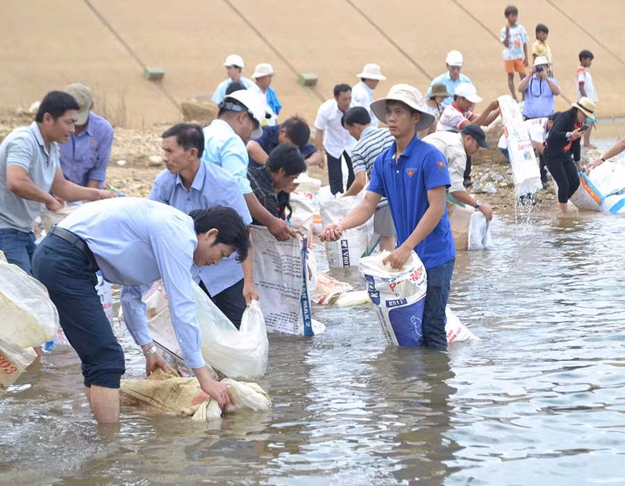  Thả cá giống tại hồ Ka Nak (huyện Kbang). Ảnh: L.N