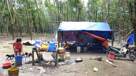  Nhiều em nhỏ đang độ tuổi đến trường phải theo cha mẹ vào rừng lao động kiếm sống