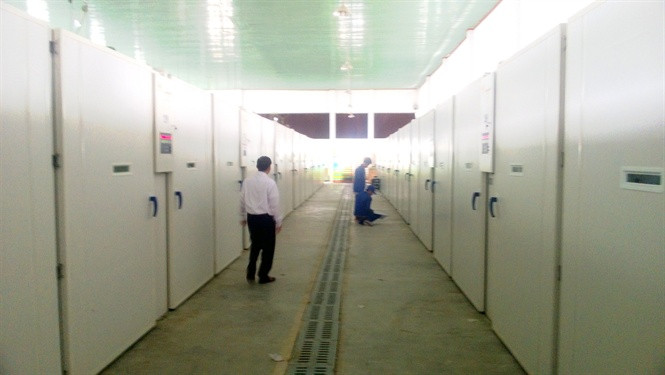Hệ thống ấp trứng hiện đại của Cty Minh Dư