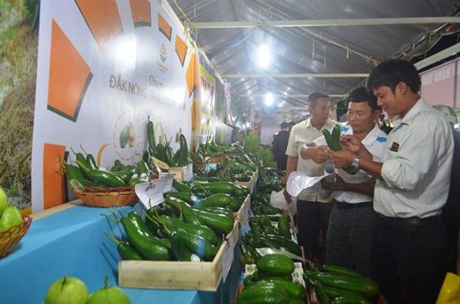 Đắk Nông vừa tổ chức thành công lễ hội “Đắk Nông mùa bơ chín”