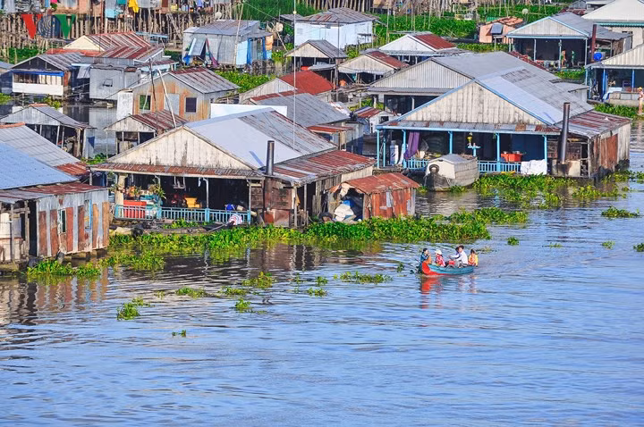 Thăm các làng nổi: Những ngôi nhà lênh đênh hoặc “gác chân” lên mặt nước cũng là nét đặc trưng khắp miền Tây. Tại làng nổi Châu Đốc (An Giang), du khách có thể tham quan các lồng bè nuôi cá basa, tự tay cho cá ăn, khám phá cuộc sống thường ngày của người dân.