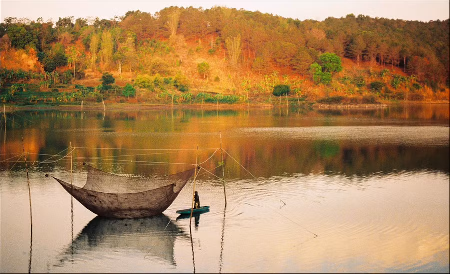 Ảnh nguồn internet